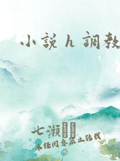 小说 h 调教