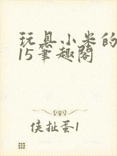 玩具小米的1一15笔趣阁
