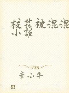 校花被混混调教小说