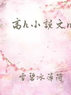 高h小说文np