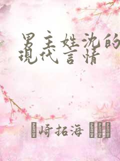 男主姓沈的小说现代言情