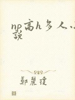 np高h多人小说