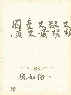 国产又粗又猛又,爽又黄视频