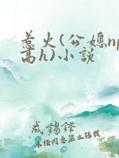 惹火(公媳np高h)小说