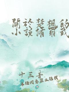 关于楚枫的玄幻小说修罗武神