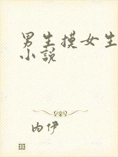 男生摸女生下面小说