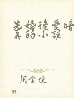 先婚后爱暗恋成真的小说