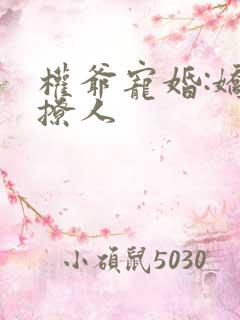 权爷宠婚:娇妻撩人