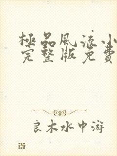 极品风流小仙医完整版免费阅读