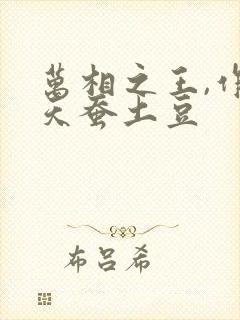 万相之王,作者天蚕土豆