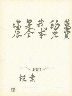 你是我的万千星辰全本免费阅读