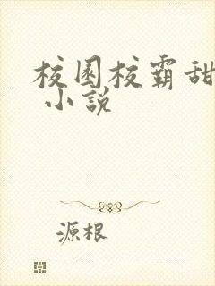 校园校霸甜宠文 小说