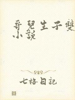 哥儿生子双男主小说