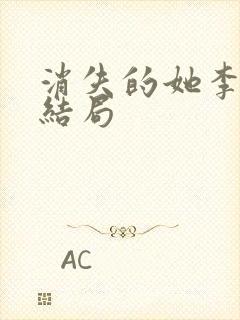 消失的她李木子结局