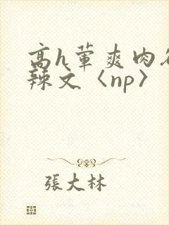 高h荤爽肉欲文辣文〈np〉