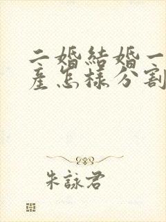 二婚结婚一年财产怎样分割现在离婚