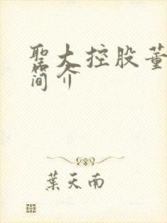 圣大控股董事长简介