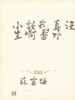 小说我真没想重生啊番外