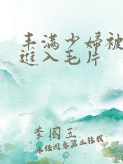 丰满少妇被猛烈进入毛片