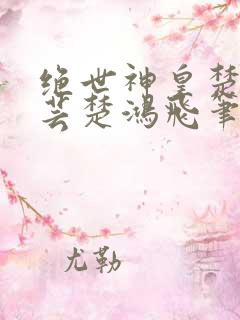 绝世神皇楚风楚芸楚鸿飞笔趣阁