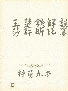 王楚钦解说孙颖莎许昕比赛视频