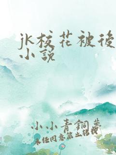 jk校花被后入小说
