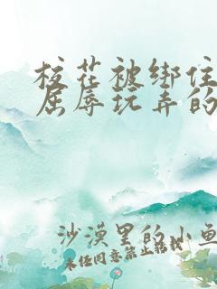 校花被绑住四肢屈辱玩弄的小说