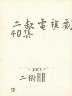 二叔电视剧全集40集