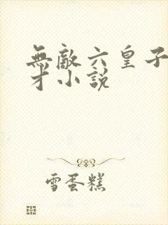 无敌六皇子秦九才小说