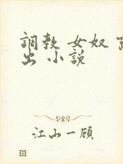 调教 女奴 露出 小说