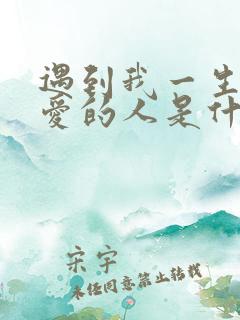 遇到我一生中最爱的人是什么歌