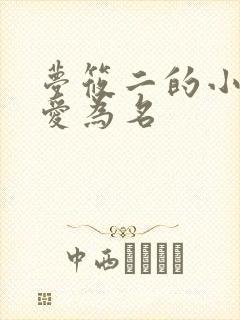 梦筱二的小说以爱为名