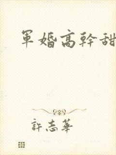 军婚高干甜宠文