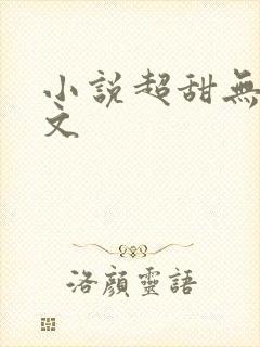 小说超甜无虐宠文