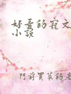 好看的宠文甜文小说