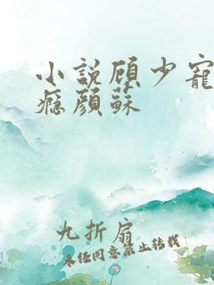 小说顾少宠妻成瘾颜苏