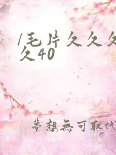 /毛片久久久久久40