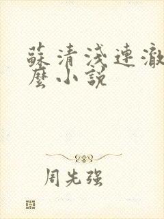 苏清浅连澈叫什么小说