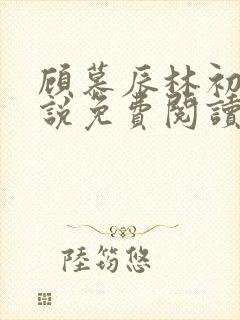 顾慕辰林初荔小说免费阅读最新章节