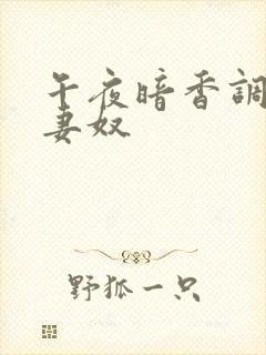 午夜暗香调教夫妻奴