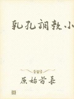 乳孔调教小说