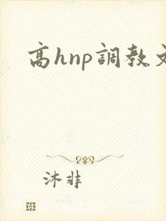 高hnp调教文