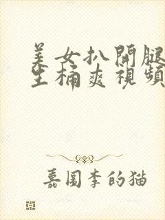 美女扒开腿让男生桶爽视频