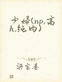 少妇(np,高h,纯肉)