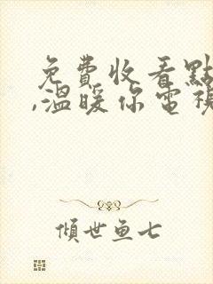 免费收看点燃我,温暖你电视剧