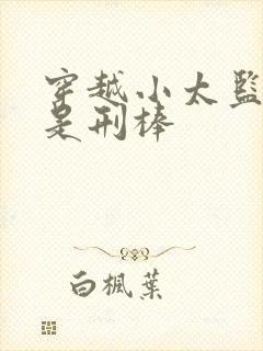 穿越小太监我就是刑棒