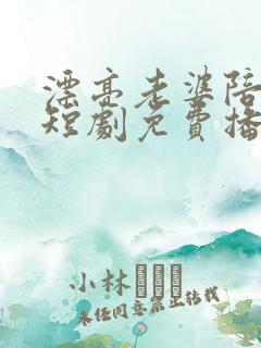 漂亮老婆陪过年短剧免费播放