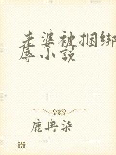 老婆被捆绑被淫辱小说