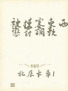 被摸塞东西进去惩罚调教