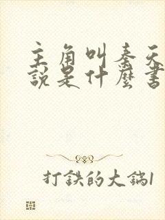 主角叫秦天的小说是什么书名